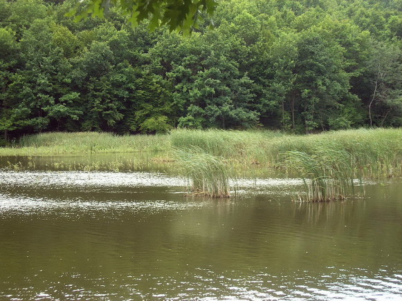 Image - A lake in the Zacharovanyi Krai National Nature Park.